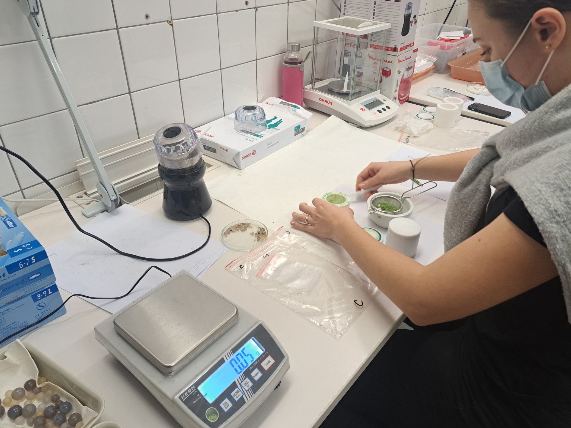 Príprava rastlinných vzoriek pri laboratórnom pracovnom stole